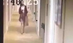 辽宁饭店爆料视频,揭秘酒店内部惊人真相