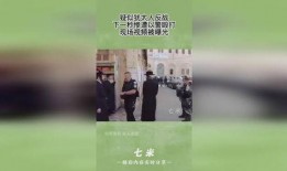 刑警爆料打架视频,打架视频背后的惊人真相