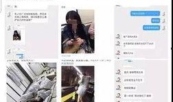 营销号爆料配音视频大全,带你领略声音的魅力