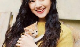 爆料娱乐圈赵露思小说,娱乐圈爆红背后的小说传奇