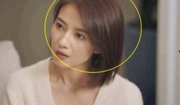 老纪爆料老崔视频播放下载,老崔视频播放下载背后的秘密大曝光