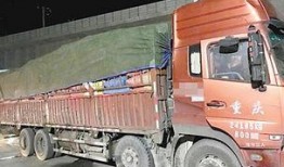 长春大货车爆料视频大全,揭秘城市交通背后的故事