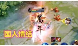 教官爆料凤求凰视频全集,教官揭秘视频全集背后的惊世之谜