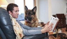 狼狗最新爆料网站大全,揭秘网络热点，追踪实时动态