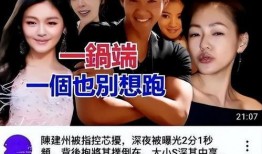 陈建州爆料大s视频,揭秘背后惊人内幕