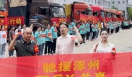 国岳夫妇诈捐司机爆料视频,公益背后的惊人内幕