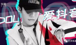 三亚抖音爆料事件视频播放,揭秘热门事件背后真相