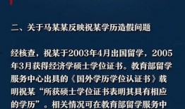 举报者 在线观看,在线观看背后的真相与启示