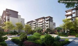 24弹豪华最新爆料,揭秘神秘阵容与精彩看点