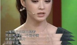 整治娱乐圈爆料的明星,揭秘幕后真相与反思