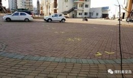 家园小区爆料视频最新