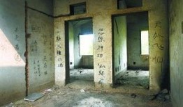 徐德亮爆料公厕视频播放,揭秘背后真相与争议