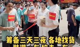 国岳夫妇诈捐司机爆料视频,公益背后的惊人内幕