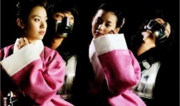 一枝梅在线观看韩剧网,穿越时空的侠义传奇