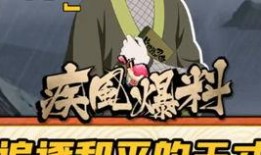 大聪明火影爆料视频,大聪明独家爆料，带你领略忍者世界的神秘面纱