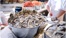 生蚝自助餐爆料视频教程,视频揭秘美味生蚝制作全过程