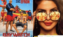 海滩游侠手机在线观看,手机在线畅享夏日激情冒险