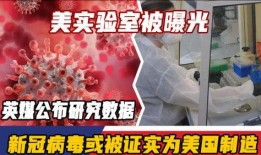 新冠病毒英媒爆料视频,揭秘病毒起源与传播之谜
