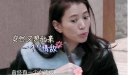 采莲明星爆料视频,揭秘幕后故事与精彩瞬间