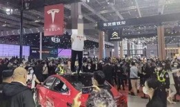 特斯拉张女士最新爆料,揭秘特斯拉内部秘密与挑战