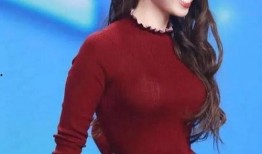 吉娜团队辟谣爆料视频播放,真相大白，还原事件始末