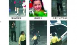 娱乐圈明星吃瓜群众视频,揭秘明星幕后生活