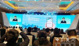 黄石港今日爆料,揭秘今日热点事件