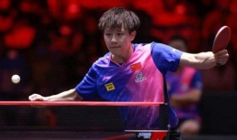 王楚钦圈内爆料视频合集,揭秘圈内不为人知的幕后故事