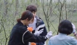 圈内吃瓜爆料杨紫视频是真的吗,圈内吃瓜爆料真相揭晓