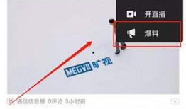 怎么做爆料视频赚钱,如何通过制作爆料视频轻松赚钱