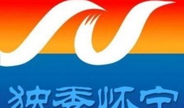 怀宁媒体爆料最新消息,重大事件引发社会关注