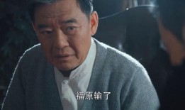 胜算在线观看,揭秘战争背后的智慧较量