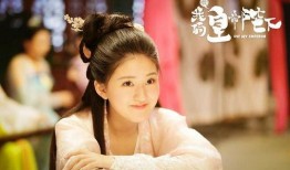 爆料娱乐圈赵露思小说,娱乐圈爆红背后的小说传奇