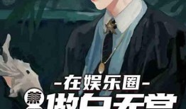 爆料娱乐圈的博主大锤小说,揭秘大锤小说中的幕后真相