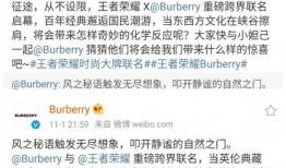 巴宝莉皮肤爆料视频大全,揭秘时尚界的神秘面纱