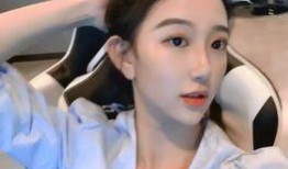 刘晶爆料录音视频大全下载,揭秘事件背后真相