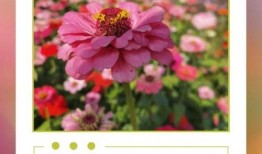 早安合肥在线观看,每日新鲜资讯，开启美好一天