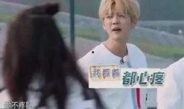 鹿晗圈内消息爆料,揭秘明星幕后故事