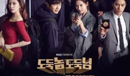 小偷家伙小偷大人在线观看,盗亦有道，揭秘神秘盗贼世界