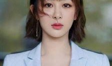 杨紫代言爆料视频大全,精彩瞬间全收录