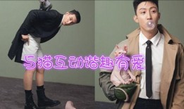 男装揭秘爆料视频大全集,视频大全集深度解析