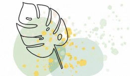 宁津探店爆料视频大全集,美食之旅全程回顾