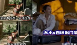 陈建州爆料大s视频,揭秘背后惊人内幕