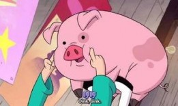 娱乐爆料君飞猪夫妻,揭秘明星夫妻幕后故事