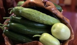 网红的吃瓜群号,一场娱乐狂欢的幕后故事