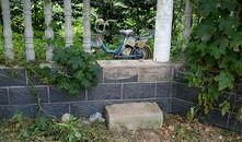 家园小区爆料视频最新