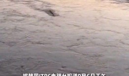 汉江水怪在线观看,一场惊心动魄的在线揭秘之旅