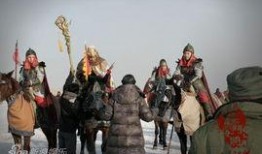 杨家女将之军令如山在线观看,铁血军魂，再现传奇！