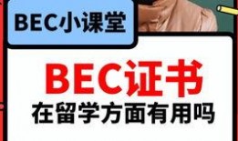 吃瓜爆料视频教程大全,视频教程大全解析