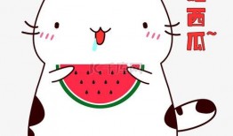 吃瓜表情包包下载免费,潮流神器轻松get！